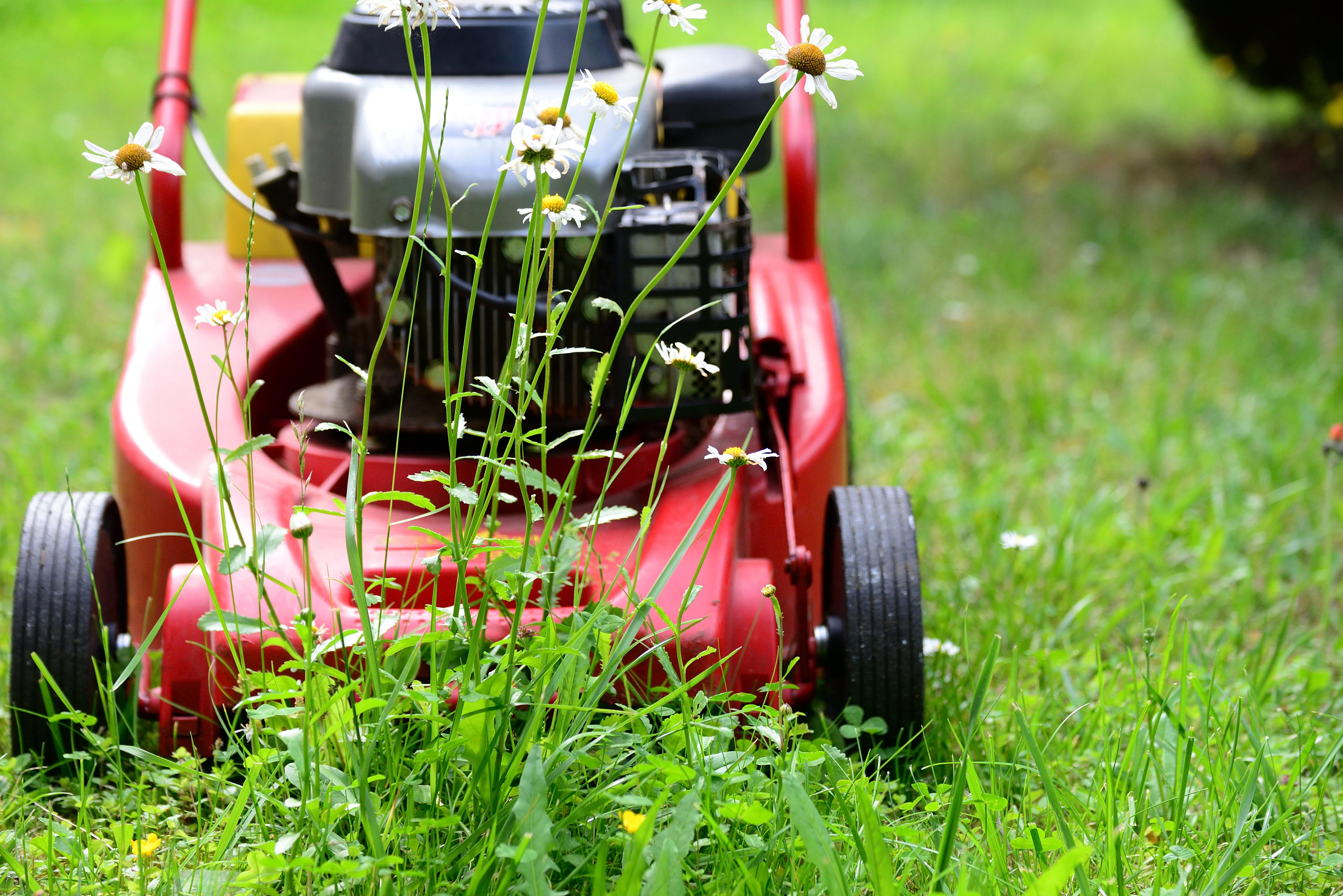 Entretien de jardin et crédit d’impôt : profitez de 50 % d’avantage fiscal avec Constans Paysage