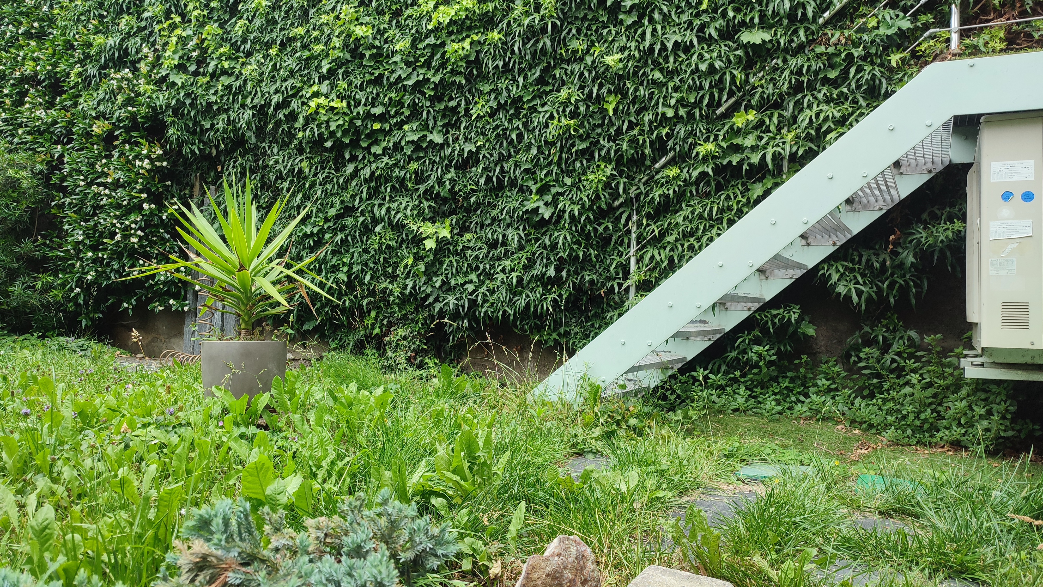 Escalier et jardin